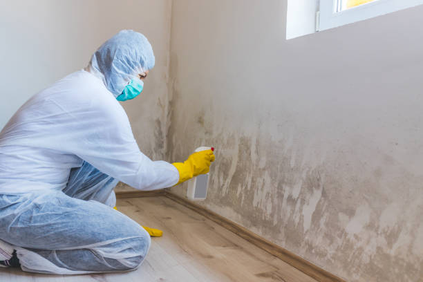 Licensed Crawl Space Mold Removal service in Nanty Glo, PA - WQB Mold Removal