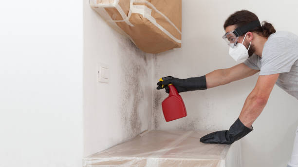 Professional Crawl Space Mold Removal technician working in Nanty Glo, PA