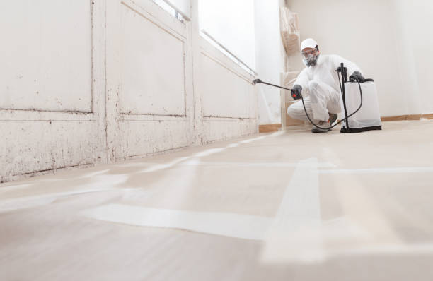 24/7 Emergency Crawl Space Mold Removal experts in Nanty Glo, PA