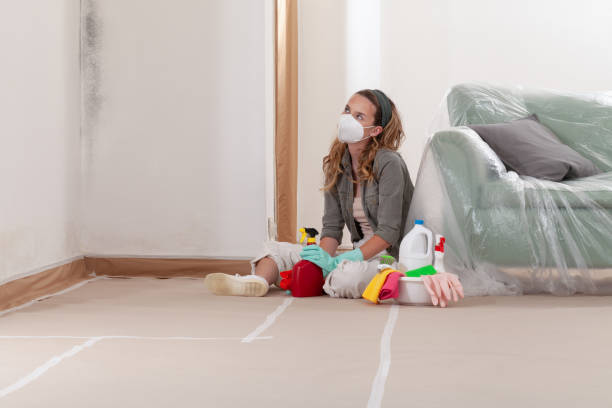 Reliable Crawl Space Mold Removal contractor in Nanty Glo, PA by WQB Mold Removal